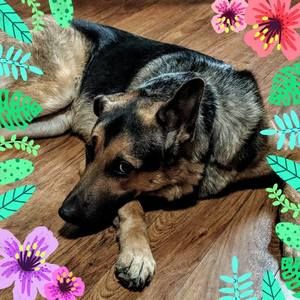 Meet your Posher, Jackie